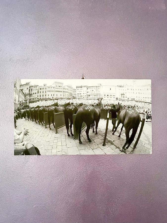 B&B Le Camere Di Livia เซียนา ภายนอก รูปภาพ